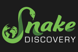 A green snake is curled into an S shape around a globe of planet earth. The snake is the S in Snake Discovery, written out.