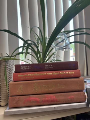 Planter made from old books with spider plant 