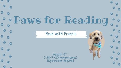Photo of Frankie, a smallish white & light brown dog