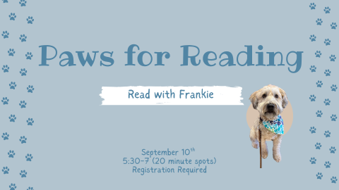 Frankie, a small white and tan dog with a kerchief and leash