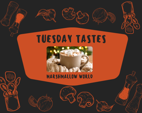 a cup of hot cocoa with marshmallows on top