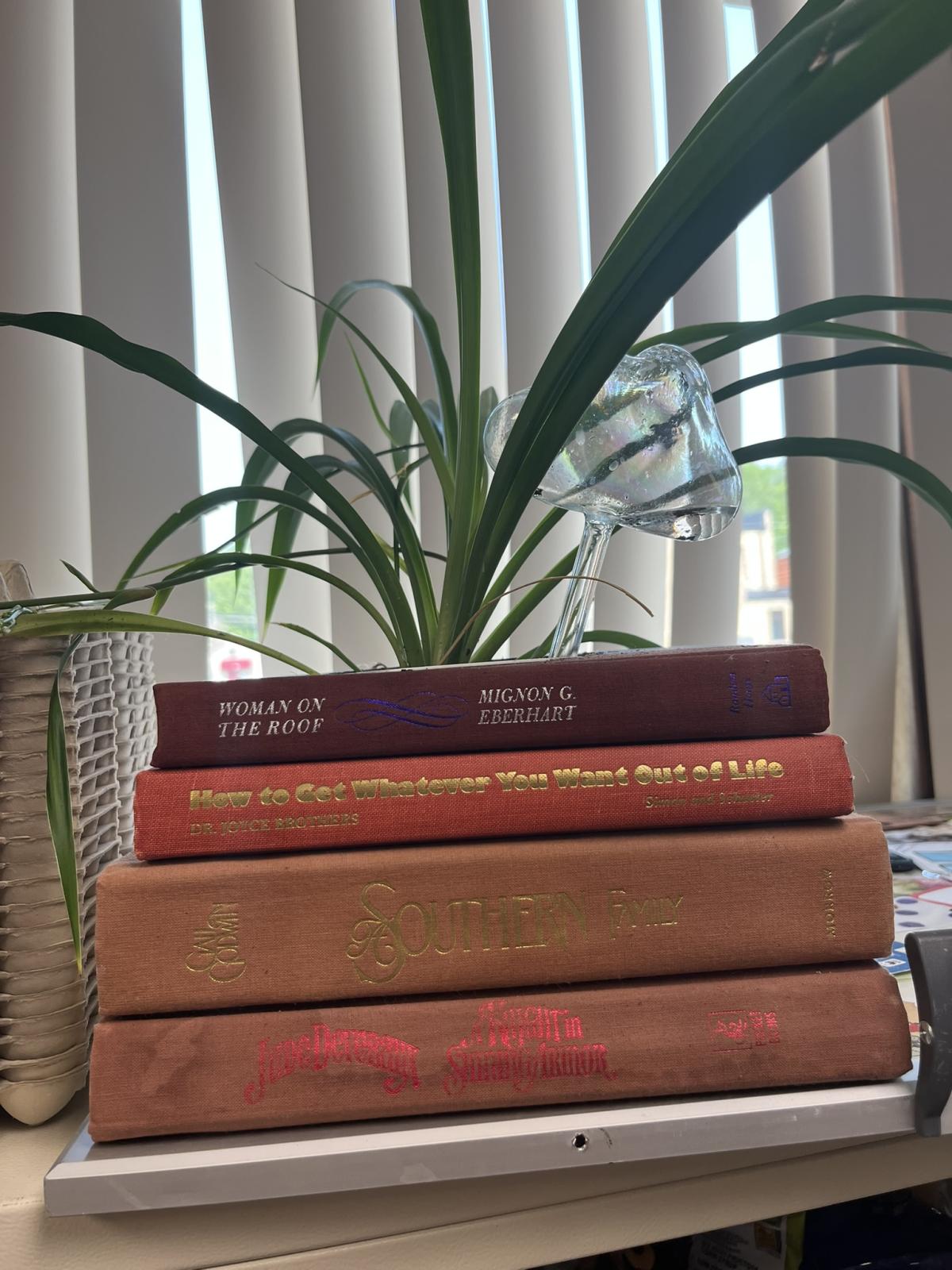 Planter made from old books with spider plant 