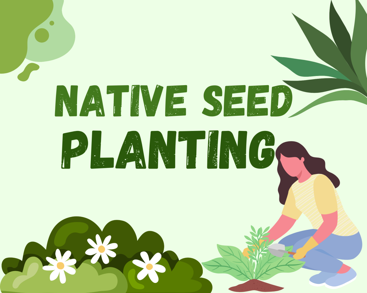 clip art of a person crouching and planting something in the ground